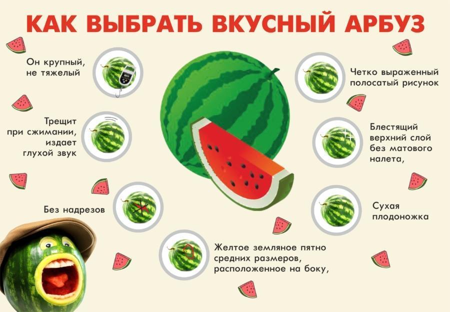 hoe kies je een heerlijke watermeloen?