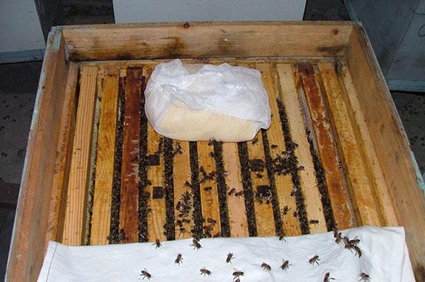 Preventivni rad na pčelinjaku
