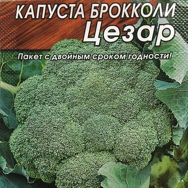 broccoli caesar