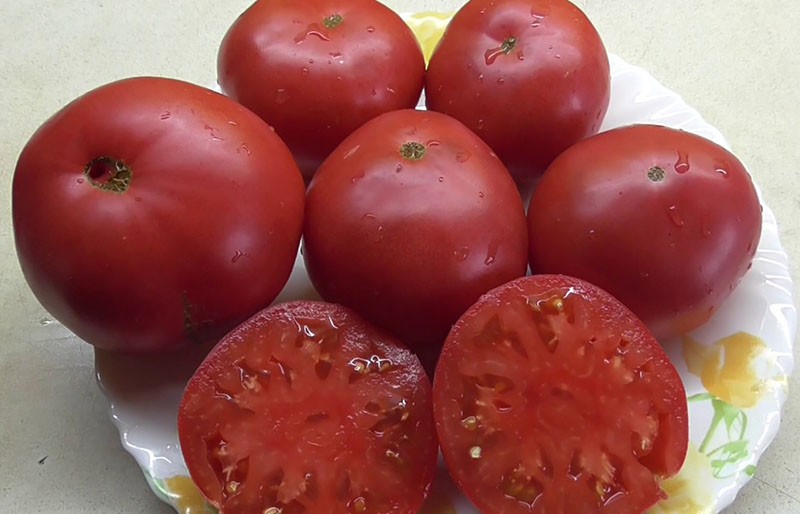 sjeckana rajčica čudo od zemlje