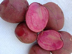 Gekleurde aardappelen met roze vruchtvlees