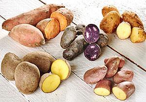 Veelkleurige aardappelen