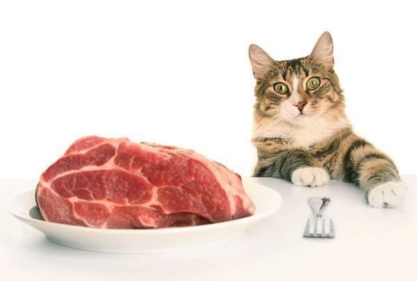 prirodno meso za mačku