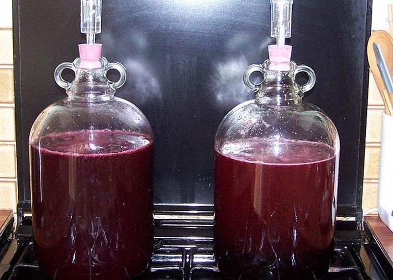 fermentatie van druivenwijn