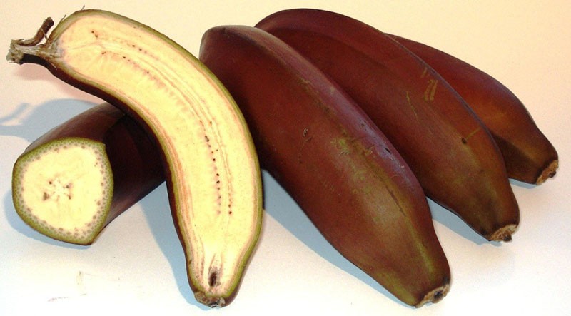 divlje banane