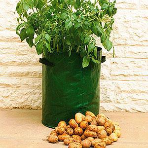 Aardappels oogsten in een zak