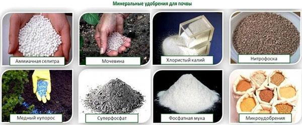 mineralna gnojiva