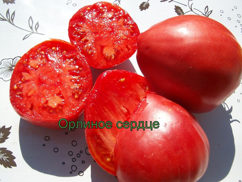 mesnati plod slatke rajčice