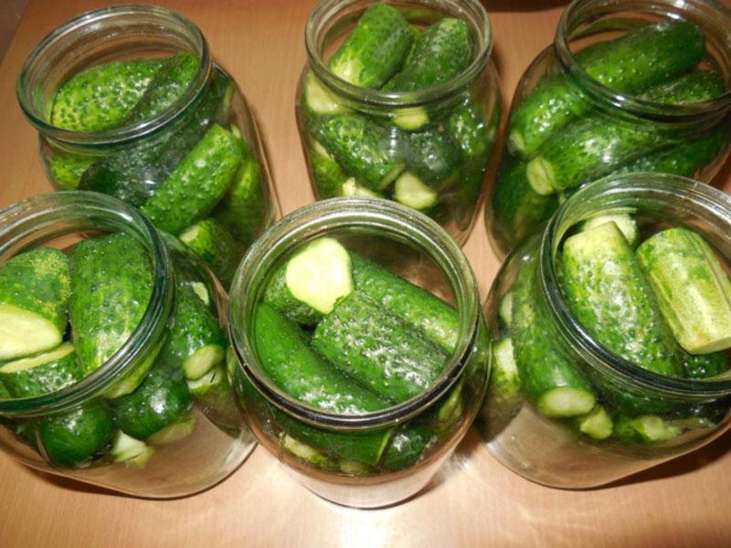 potten vullen met komkommers