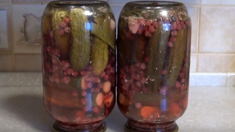 recepten voor ingelegde komkommers met krenten