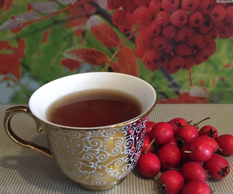 bobice gloga imaju koristi i štete kako uzimati čaj