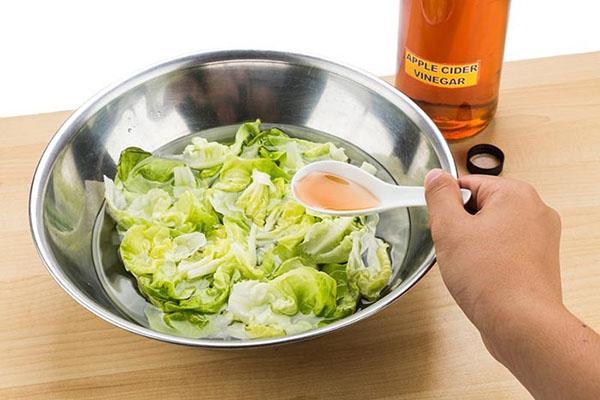 appelciderazijn toevoegen aan salade