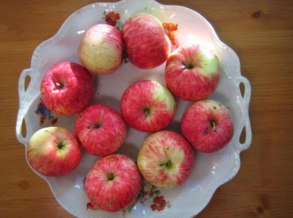 zreli plodovi sorte jabuka Grushovka Moskovskaya