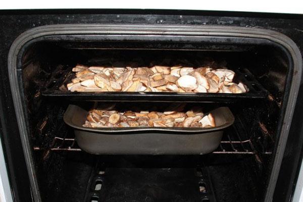 champignons drogen in de oven