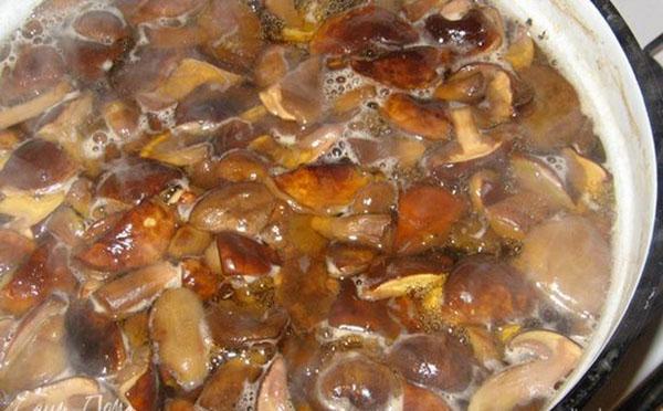 champignons koken in gezouten water
