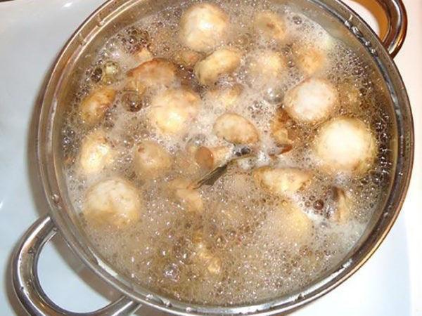 champignons in marinade koken