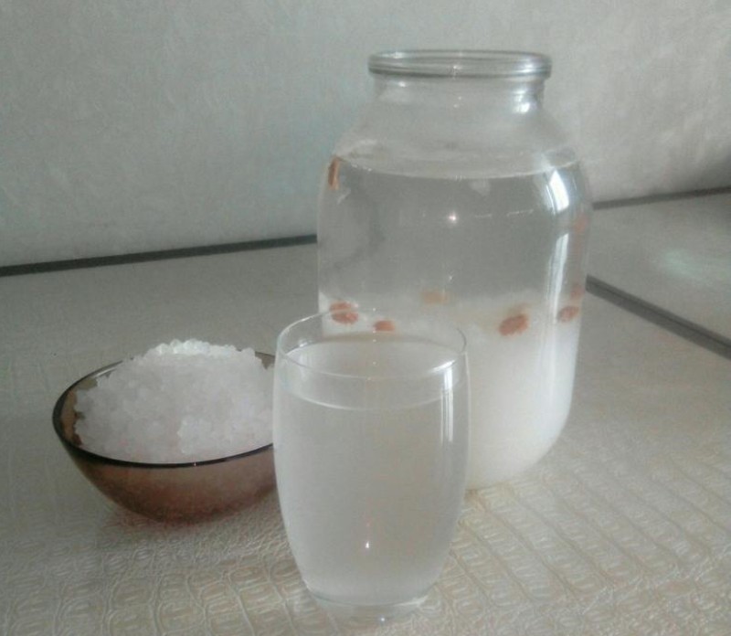 Korisna svojstva indijske morske riže