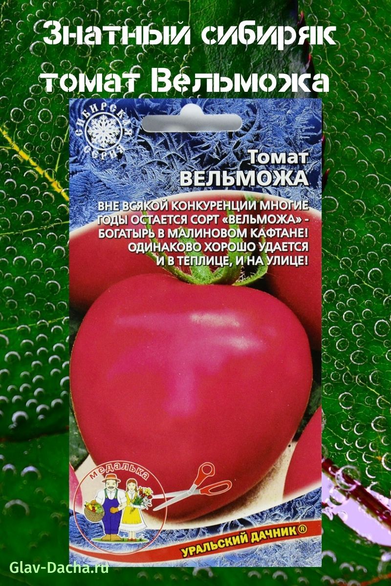 tomaat nobel